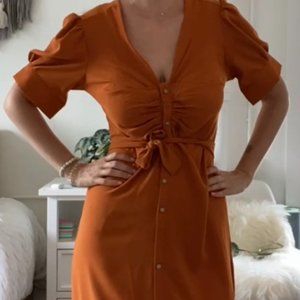 Rusty Orange Vintage dress